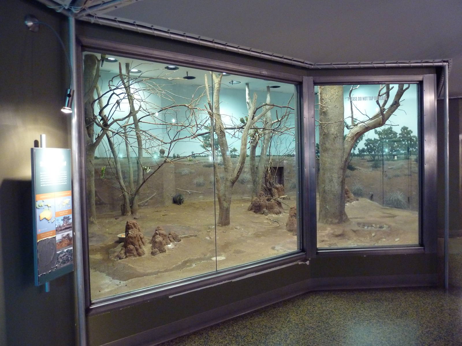 Ecostation - Dama Wallaby/Princess Parrot/Cloncurry Parrot/Bourque's Parrot