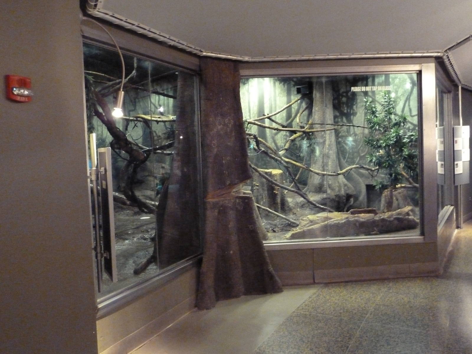 Ecostation - New World Rainforest Exhibit