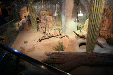 Ecosystems - April 5, 2010