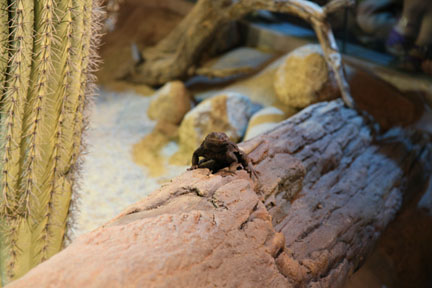 Ecosystems - April 5, 2010