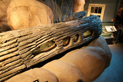 Ecosystems - April 5, 2010