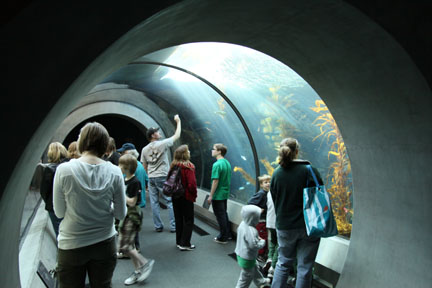 Ecosystems - April 5, 2010