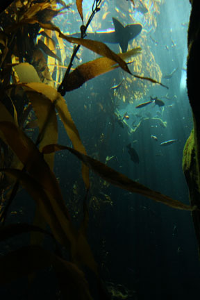 Ecosystems - April 5, 2010