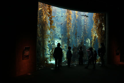 Ecosystems - April 5, 2010