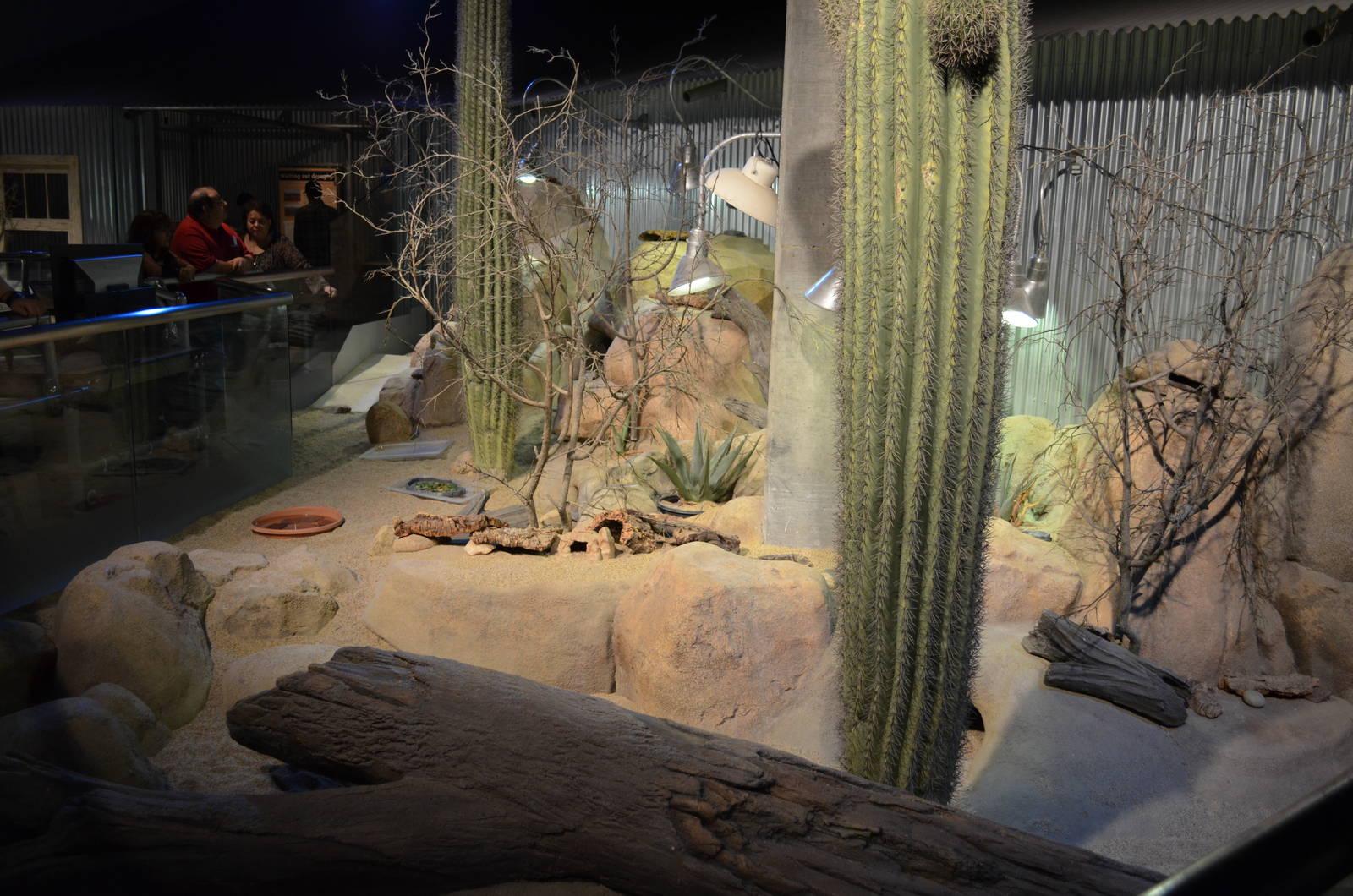 Ecosystems - Desert Habitat