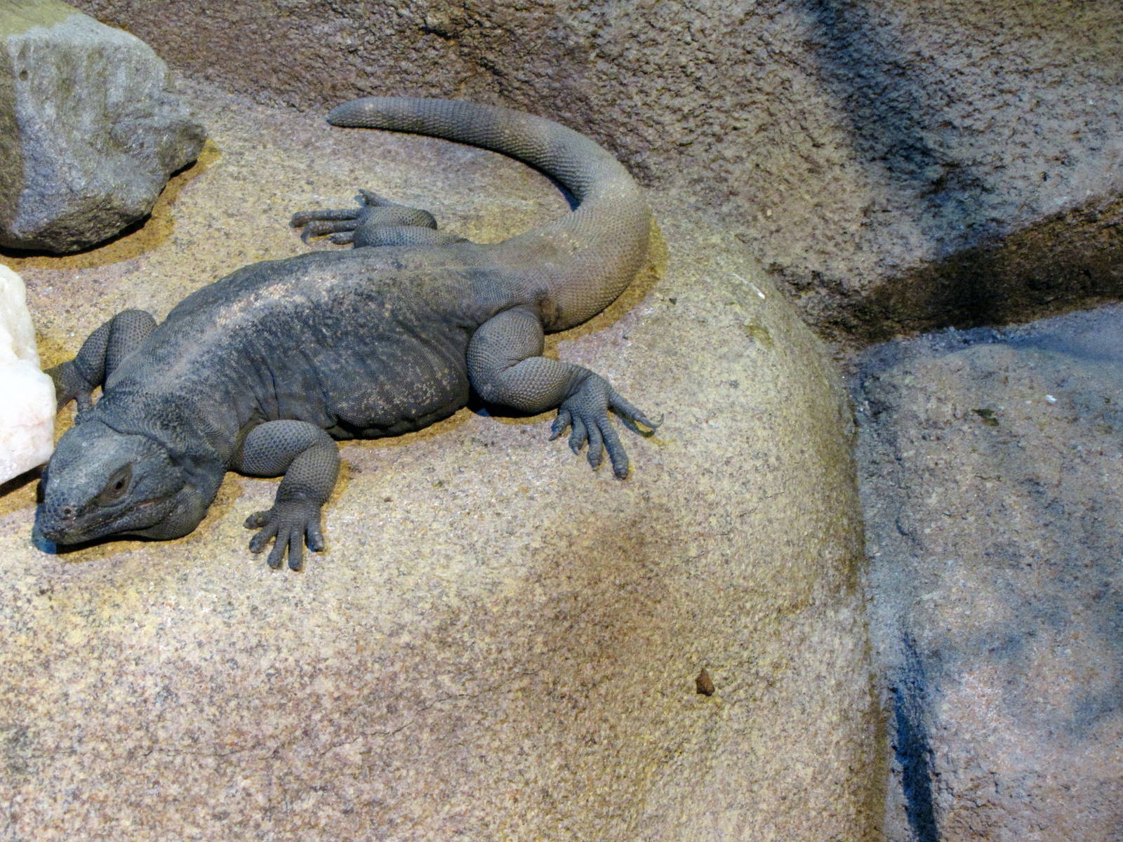 Ecosystems - October 17, 2010