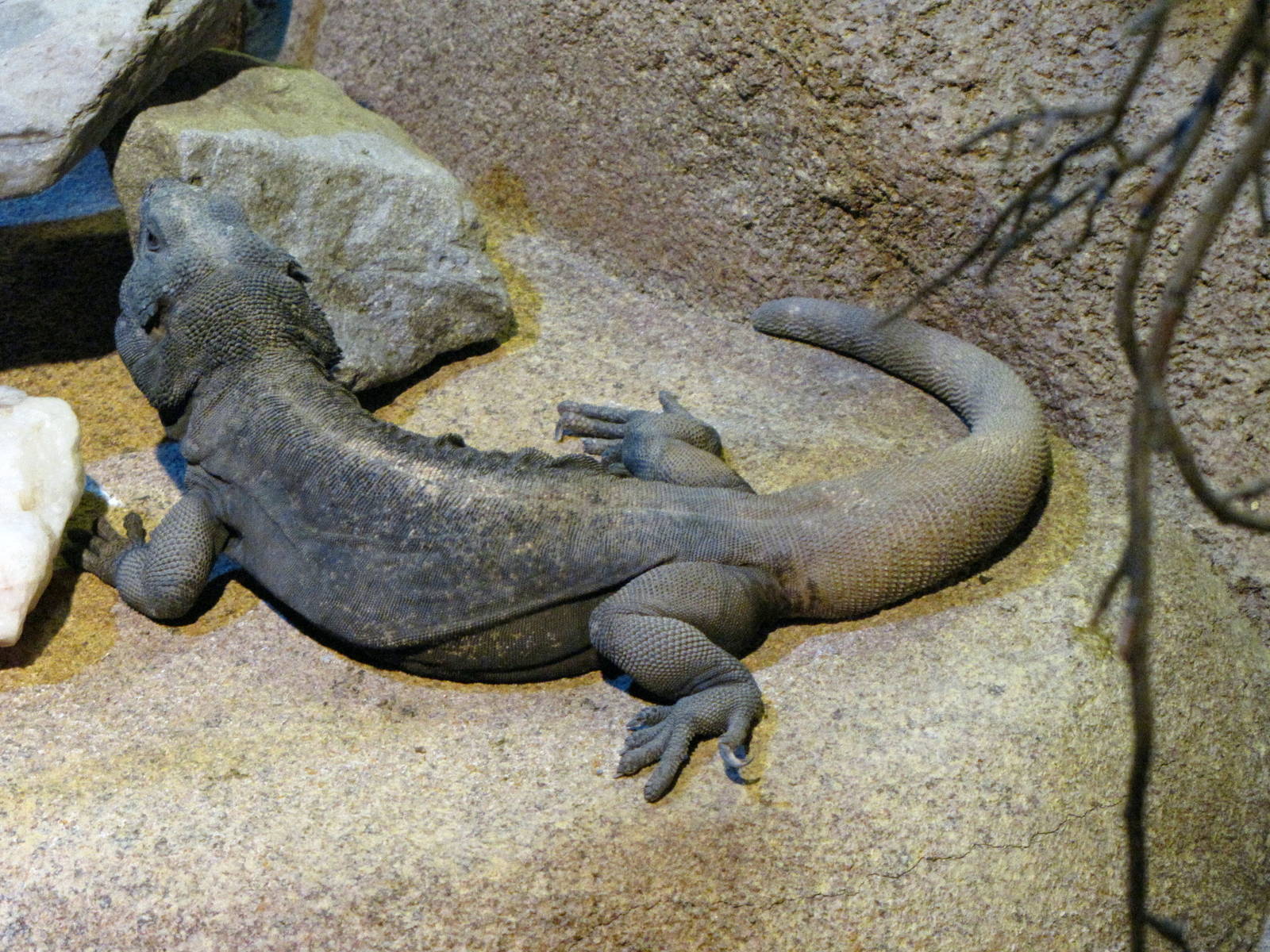 Ecosystems - October 17, 2010