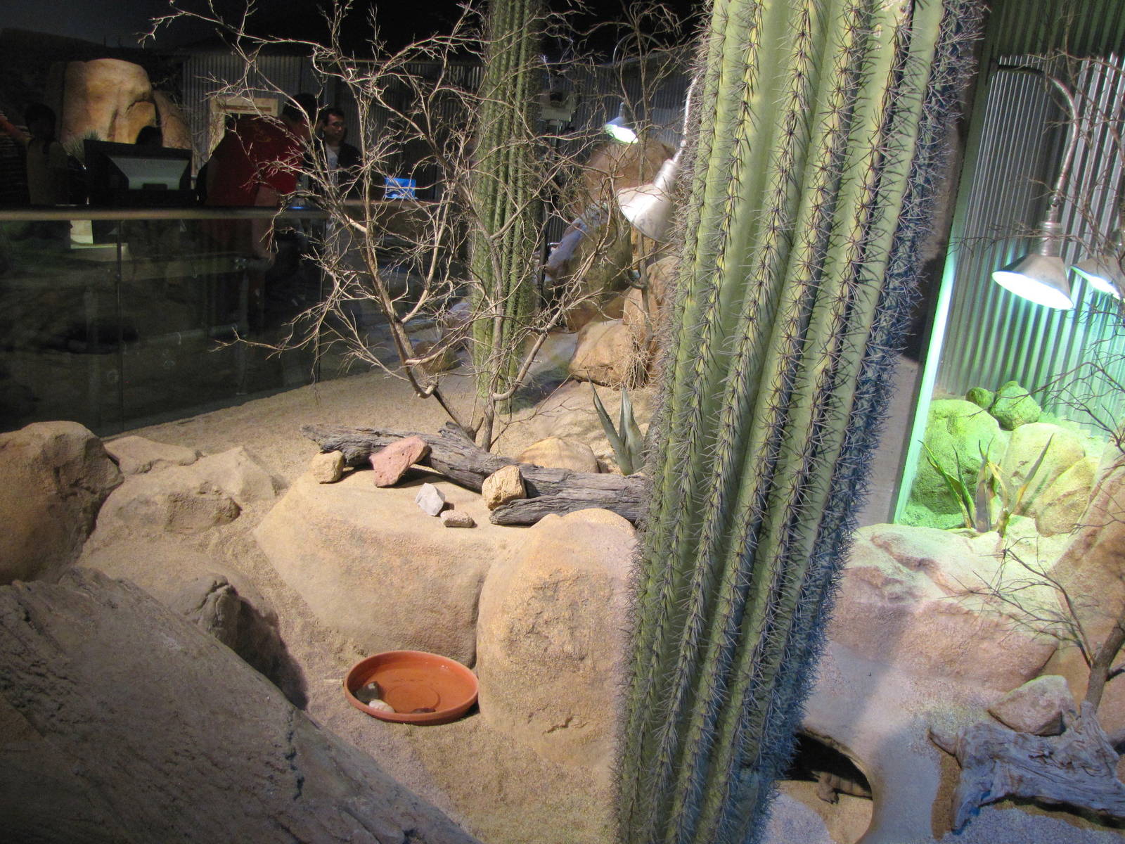 Ecosystems - October 17, 2010