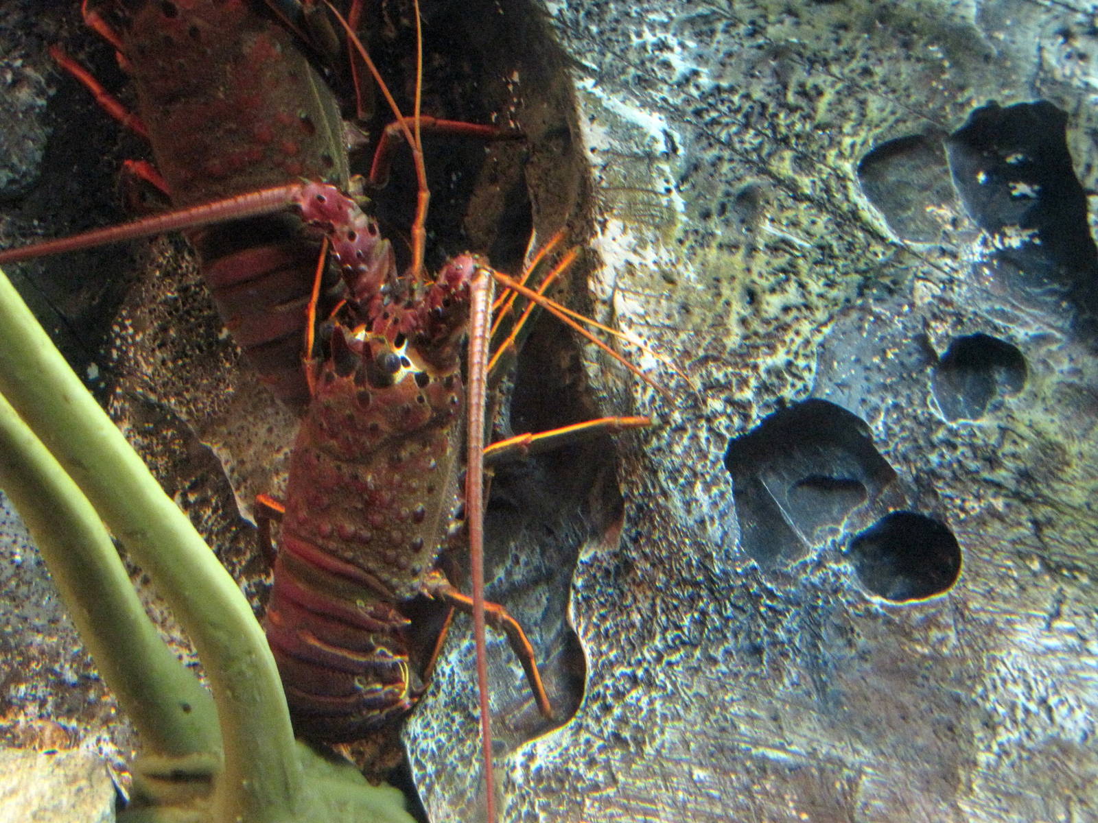 Ecosystems - October 17, 2010