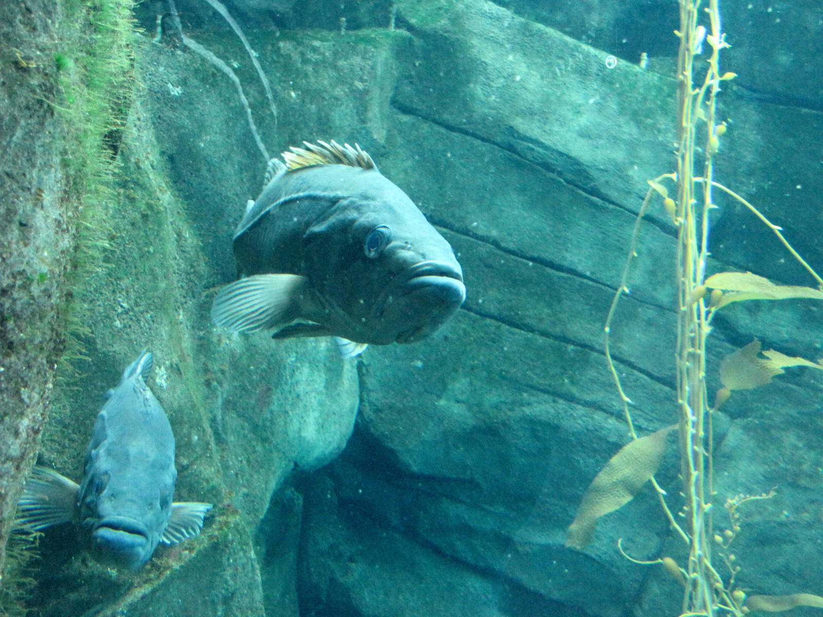 Ecosystems - October 17, 2010