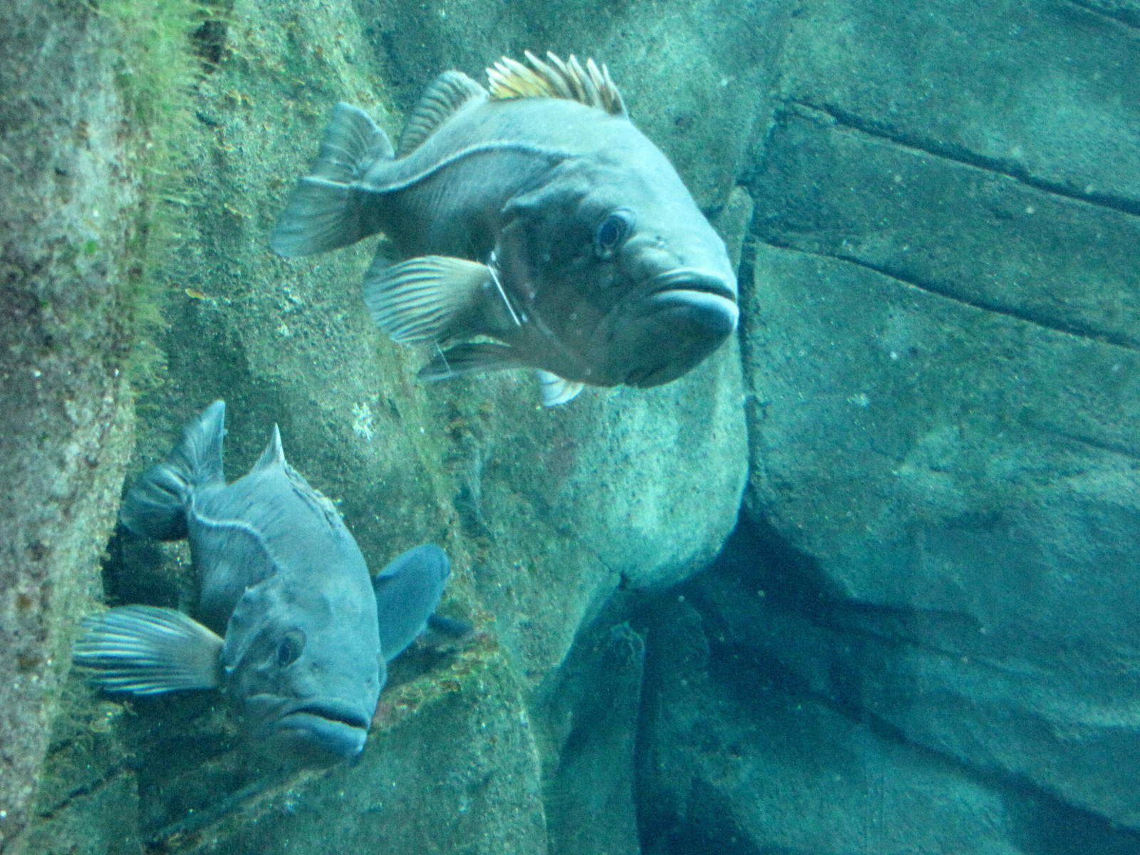 Ecosystems - October 17, 2010