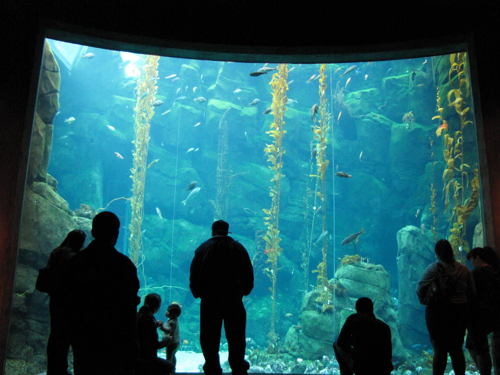 Ecosystems - October 17, 2010