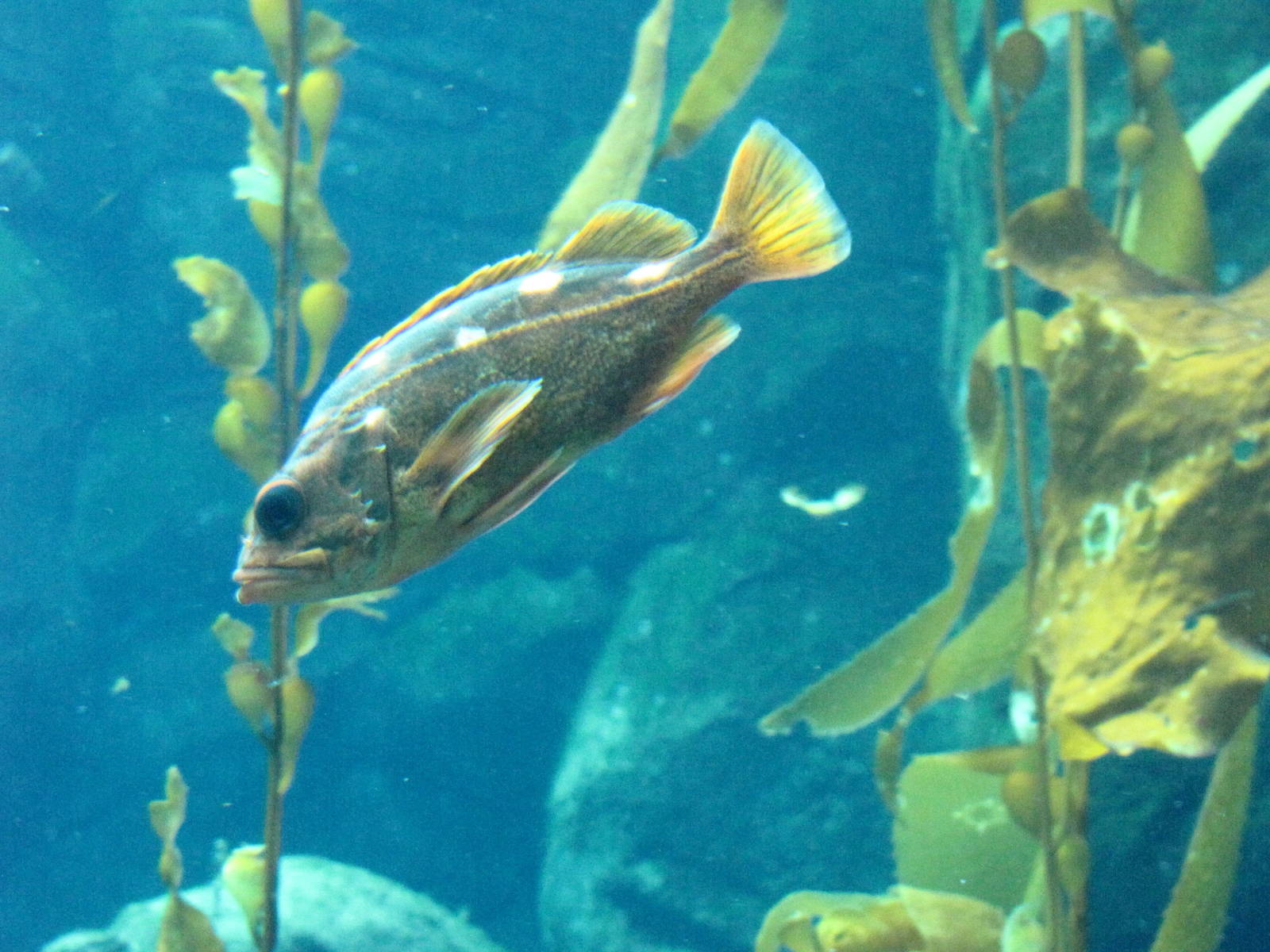 Ecosystems - October 17, 2010