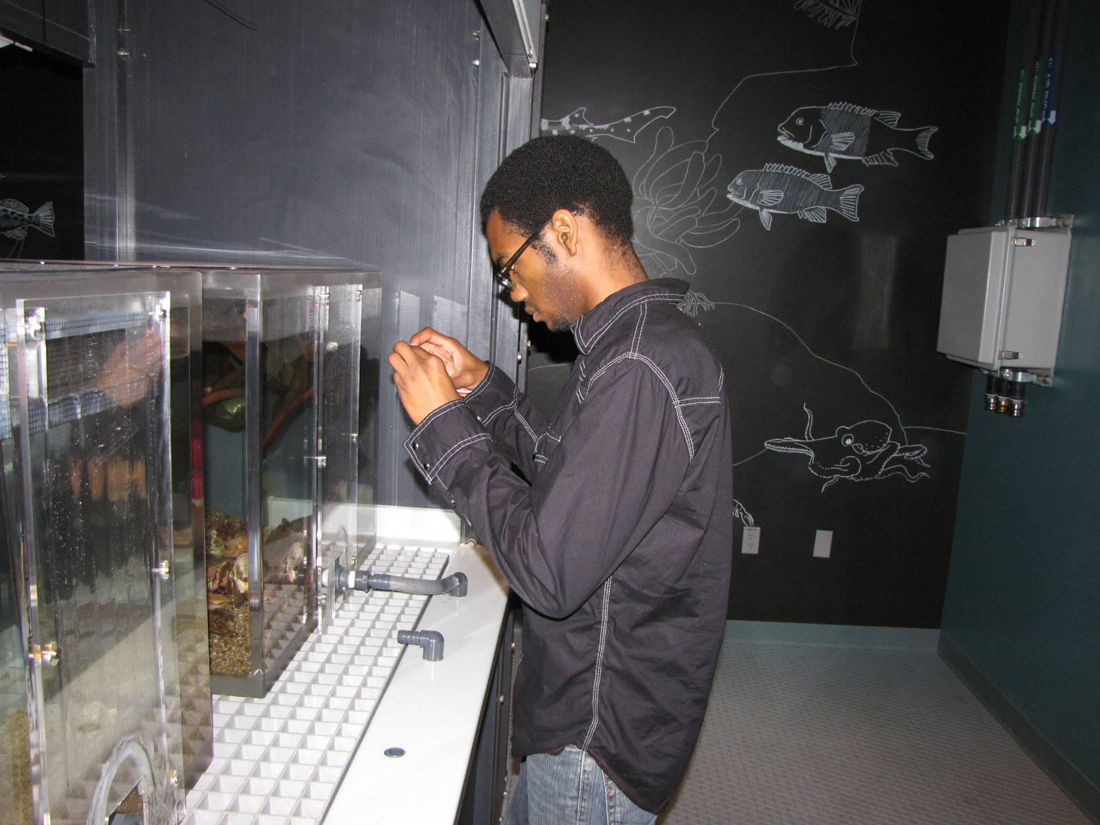 Ecosystems - October 17, 2010