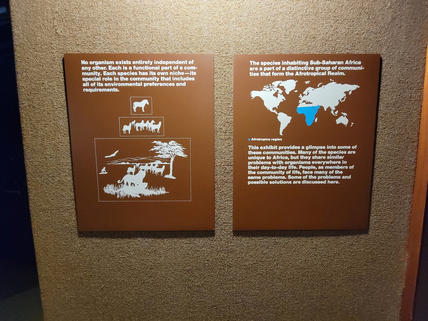 Ecotarium - African Communities: explanation