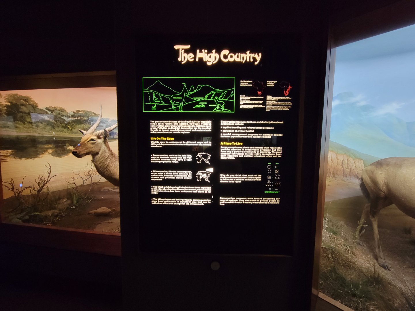 Ecotarium - African Communities: Signage example (The High Country - Red hartebeest, klipspringer)