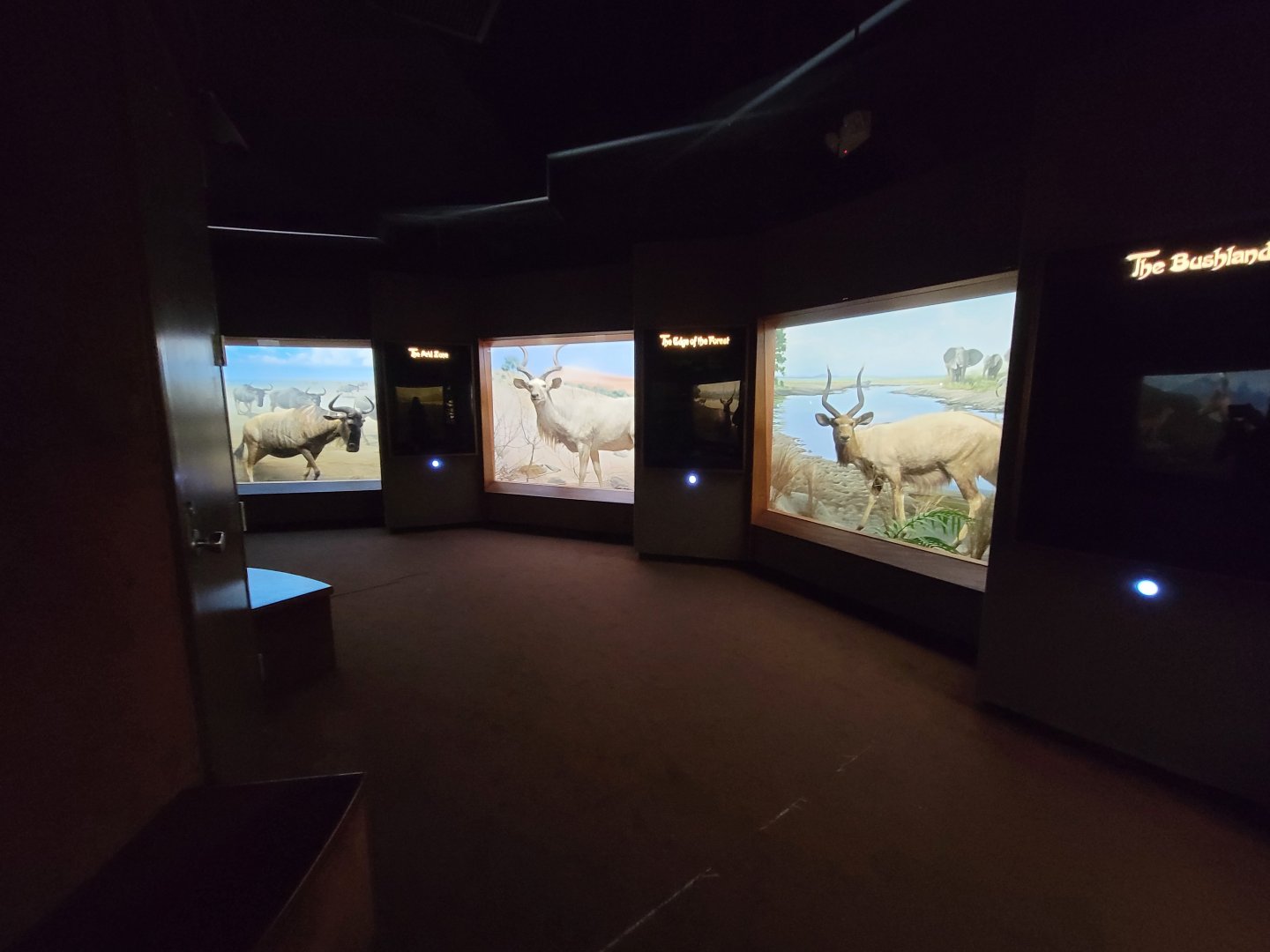 Ecotarium - African Communities: View of room