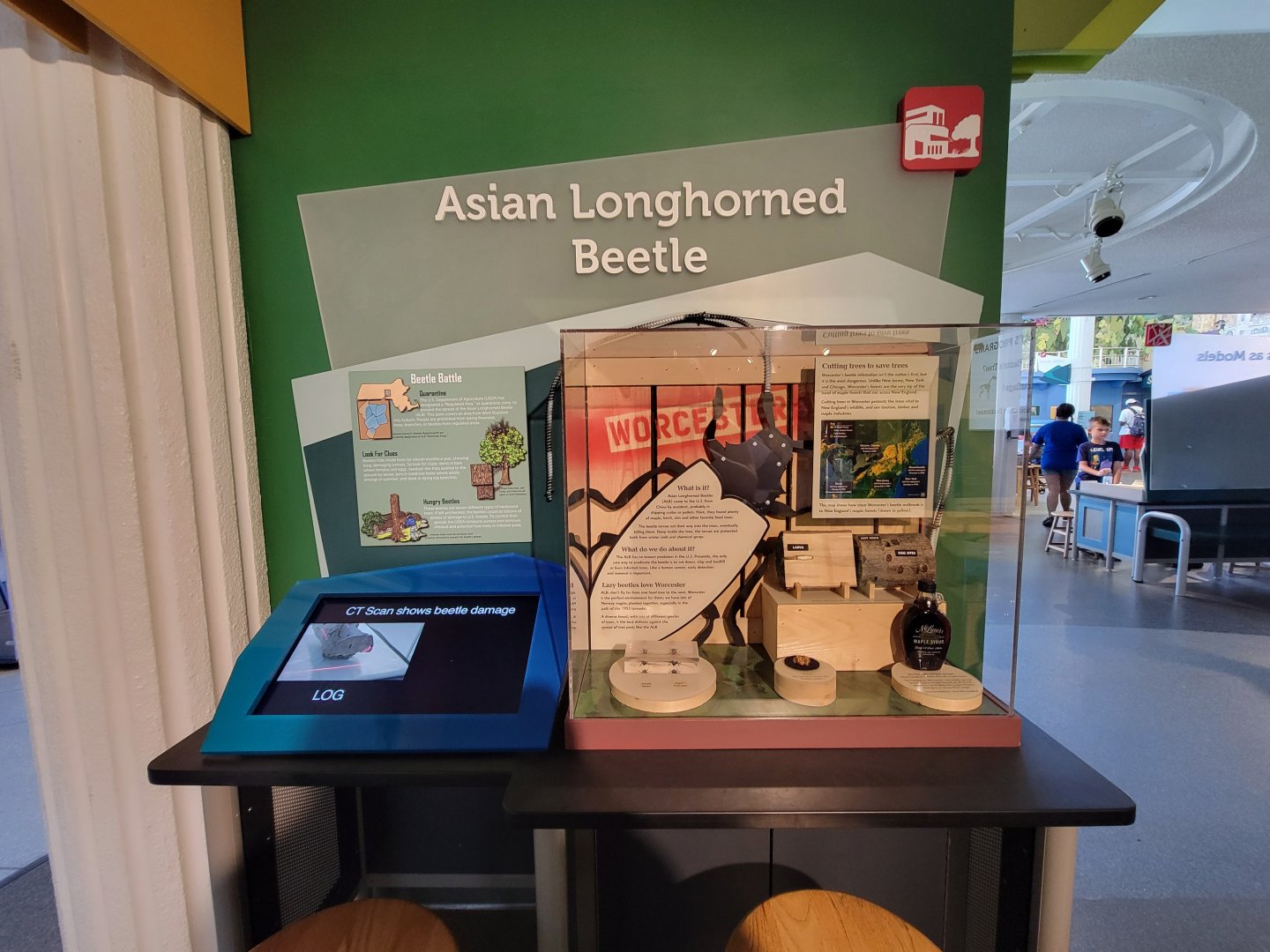 Ecotarium - Asian longhorned beetle information