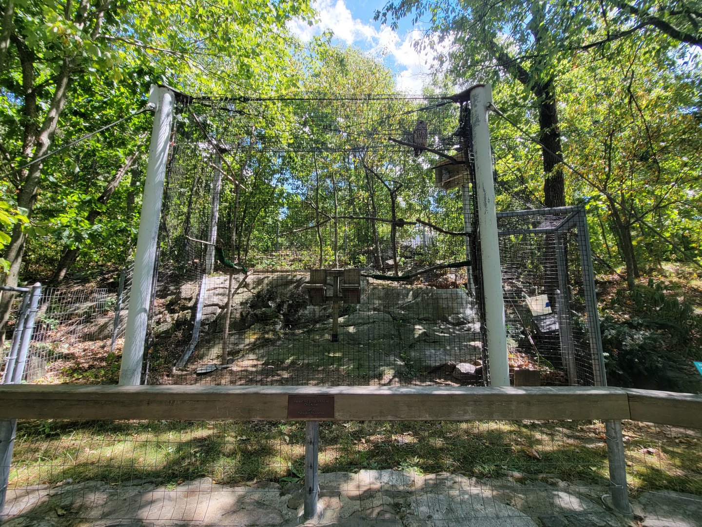 Ecotarium - Barred owl