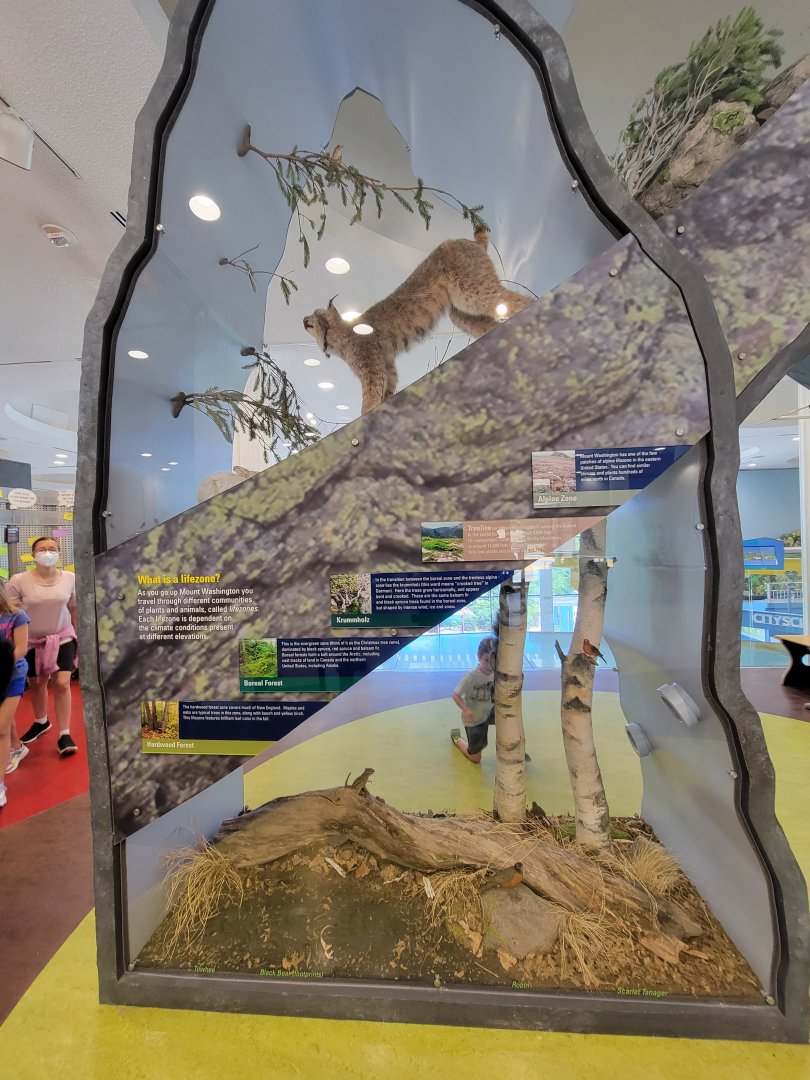 Ecotarium - Destination: Mount Washington