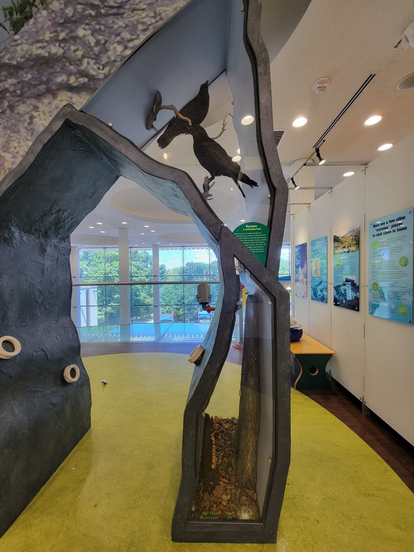 Ecotarium - Destination: Mount Washington