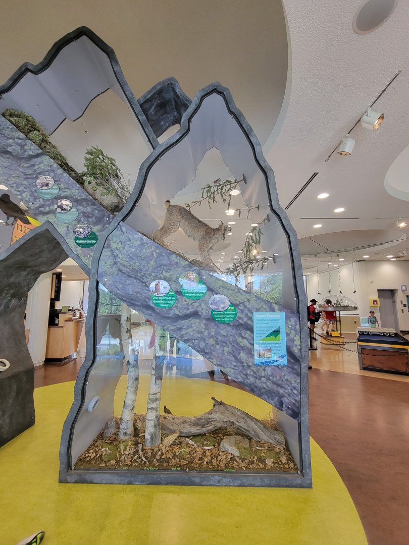 Ecotarium - Destination: Mount Washington