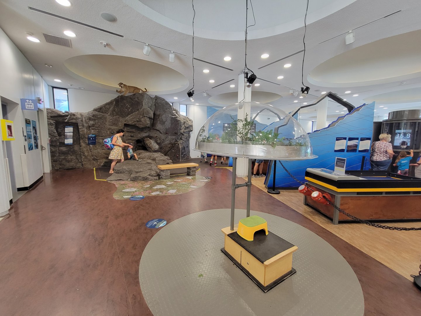 Ecotarium - Destination: Mount Washington