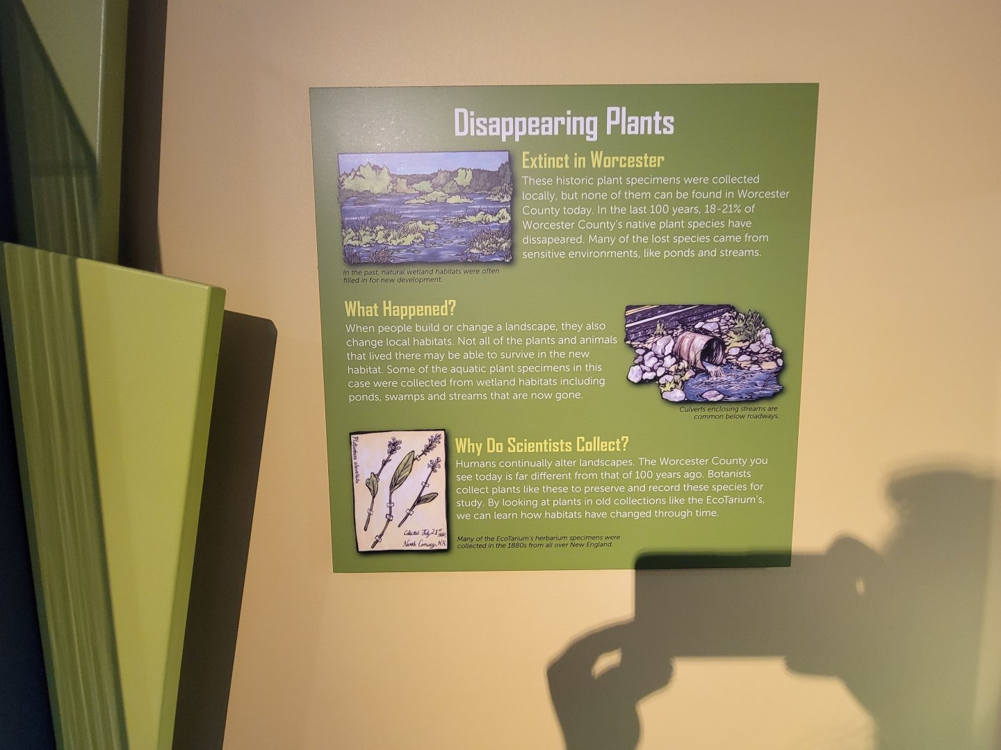 Ecotarium - Disappearing plants