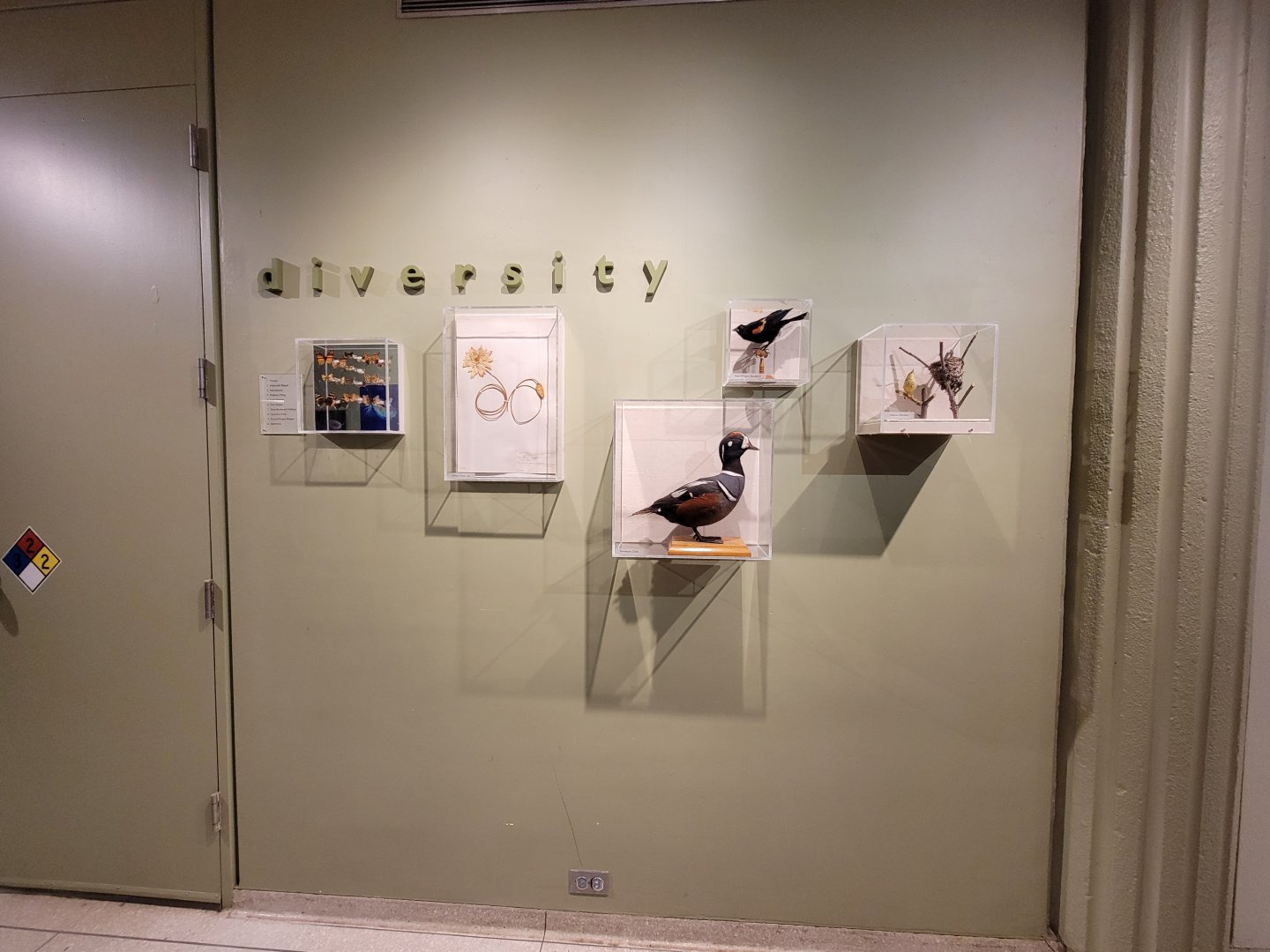 Ecotarium - Diversity