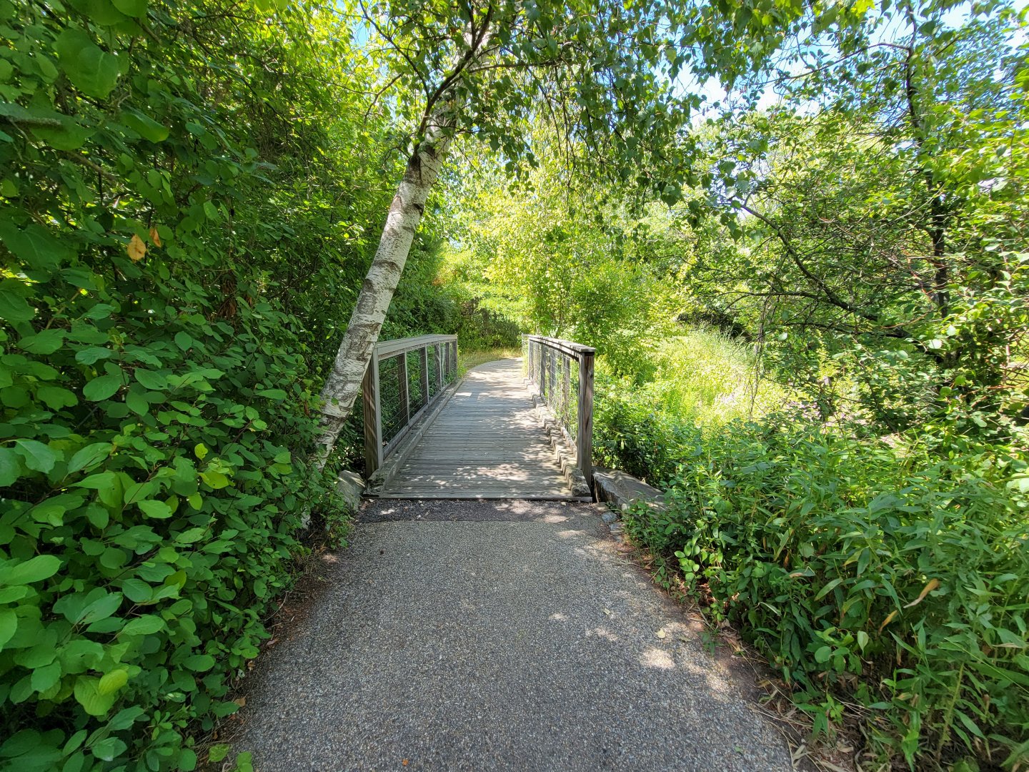 Ecotarium - Footbridge