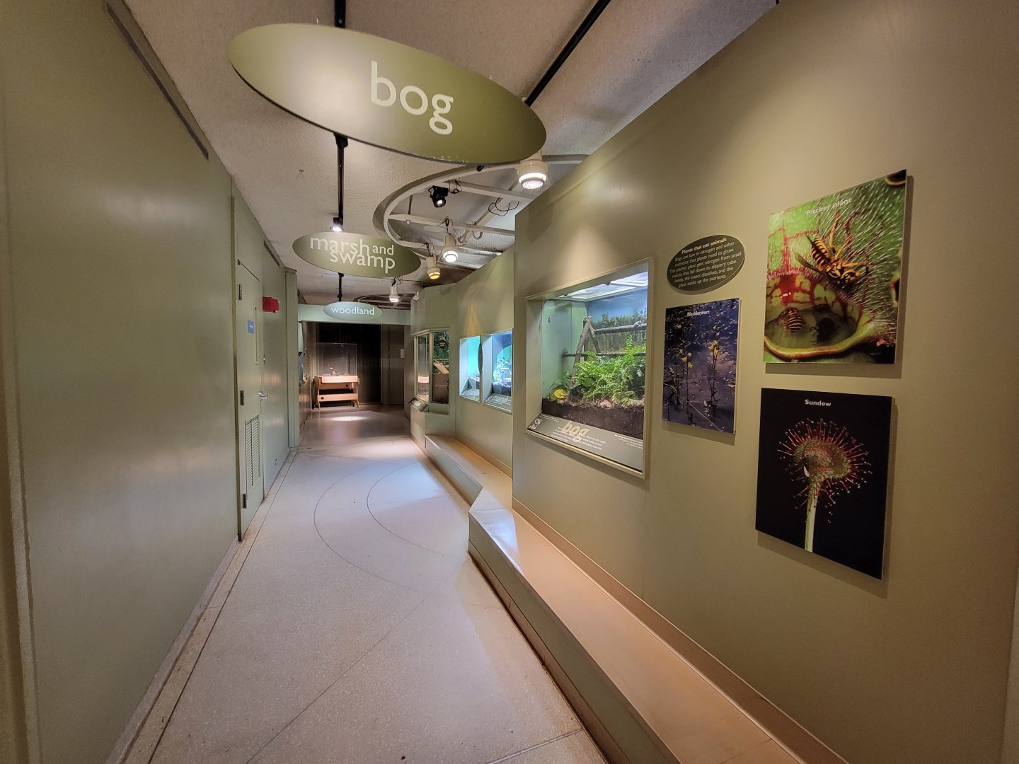 Ecotarium - Freshwater