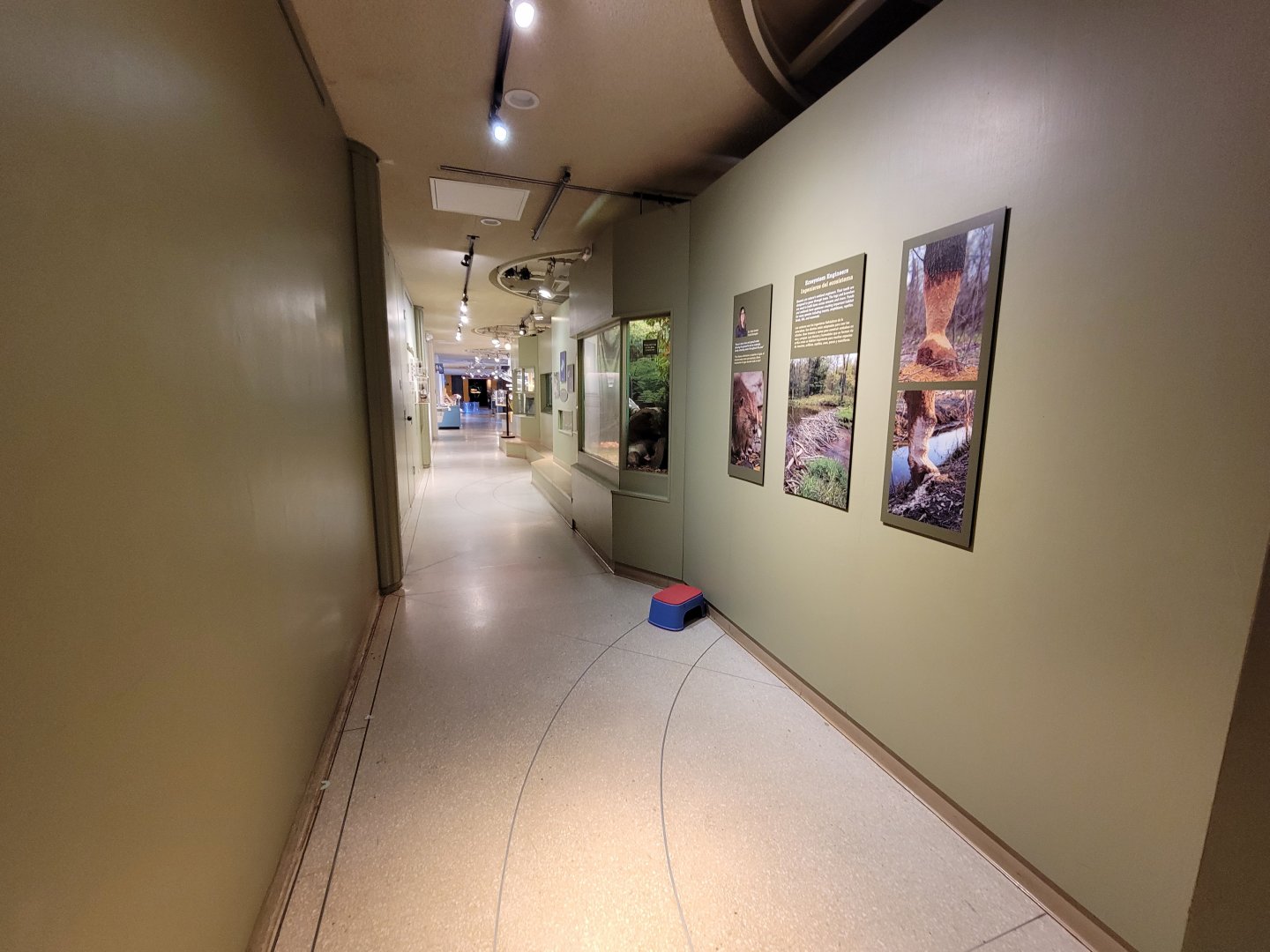 Ecotarium - Freshwater