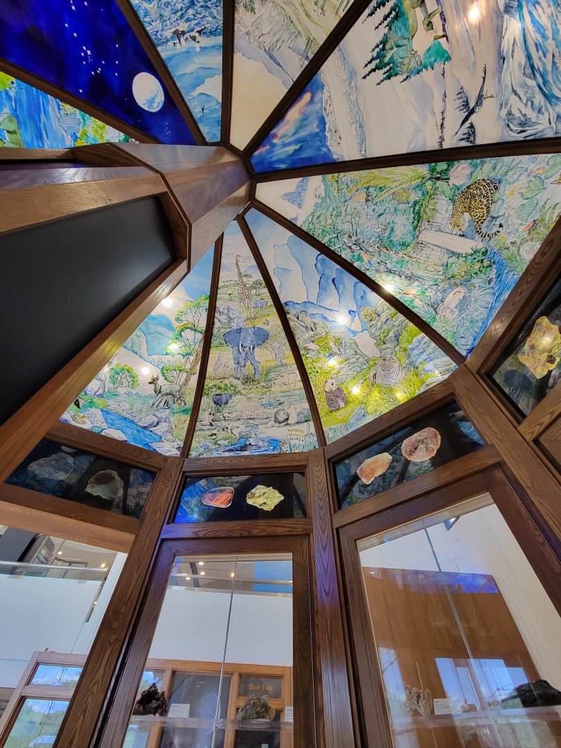 Ecotarium - Geology ceiling