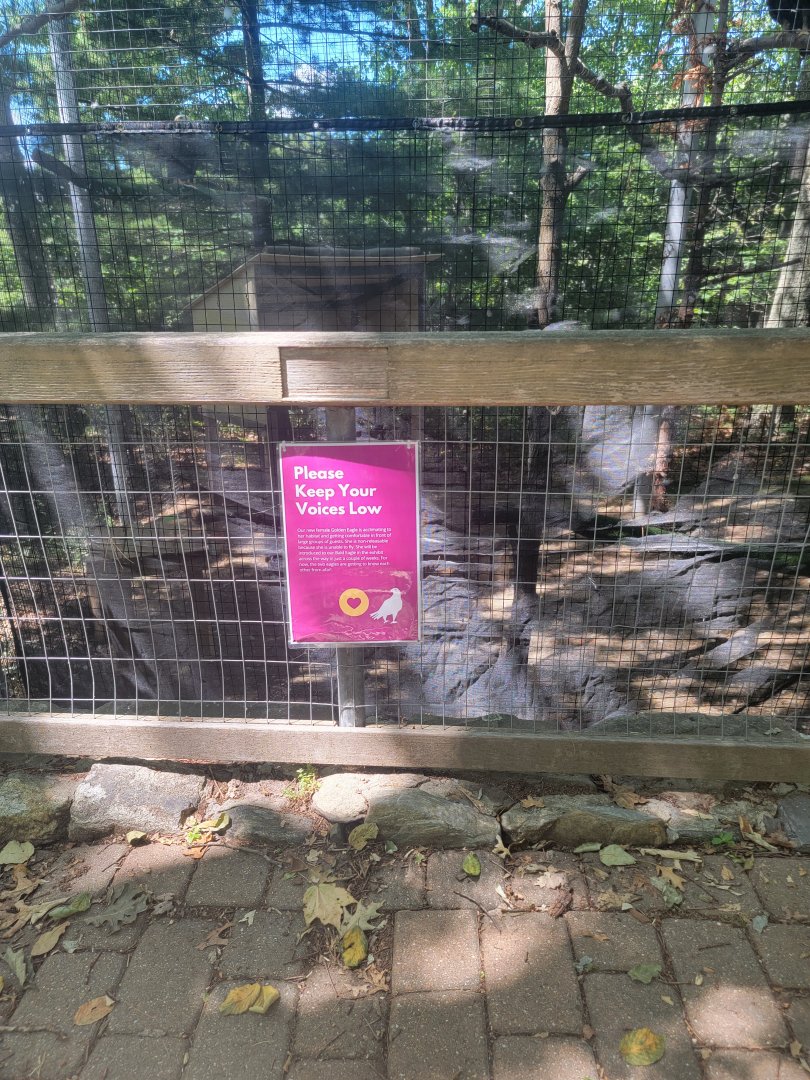 Ecotarium - Keep voices low because of new golden eagle