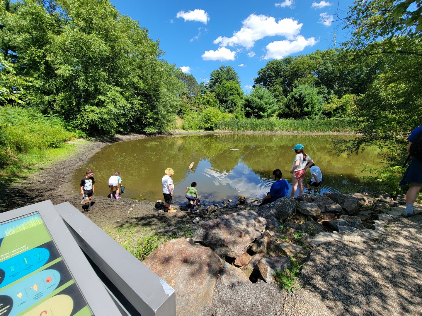 Ecotarium - Kids learning in the pond