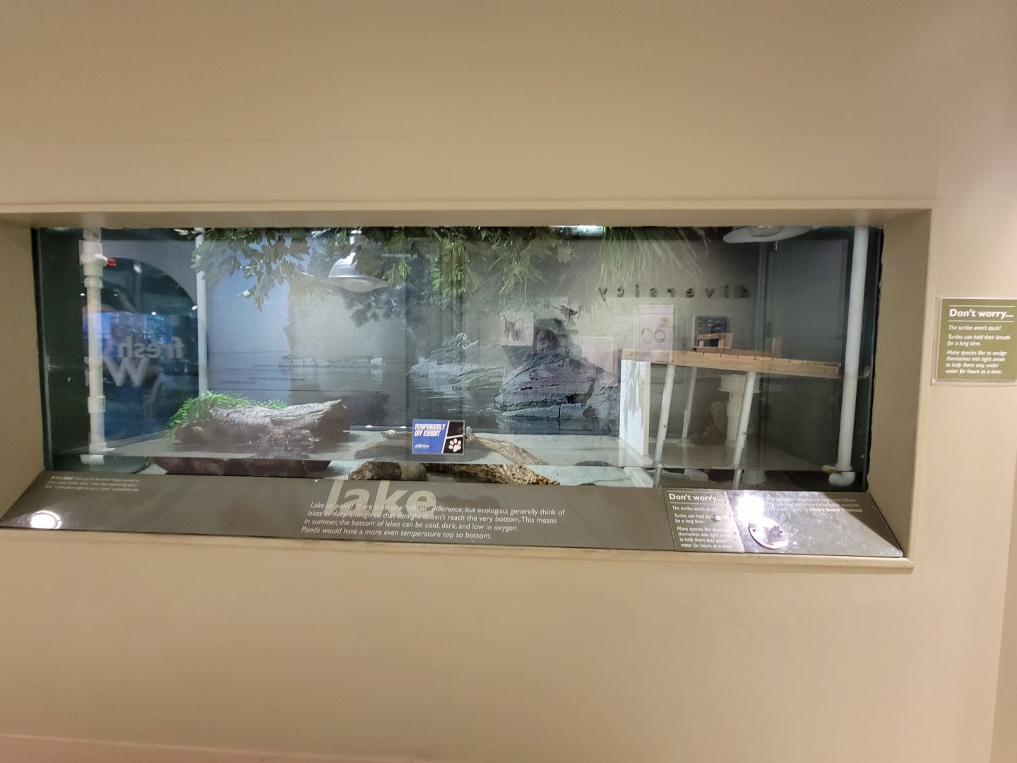 Ecotarium - Lake (normally holds snaping turtle)