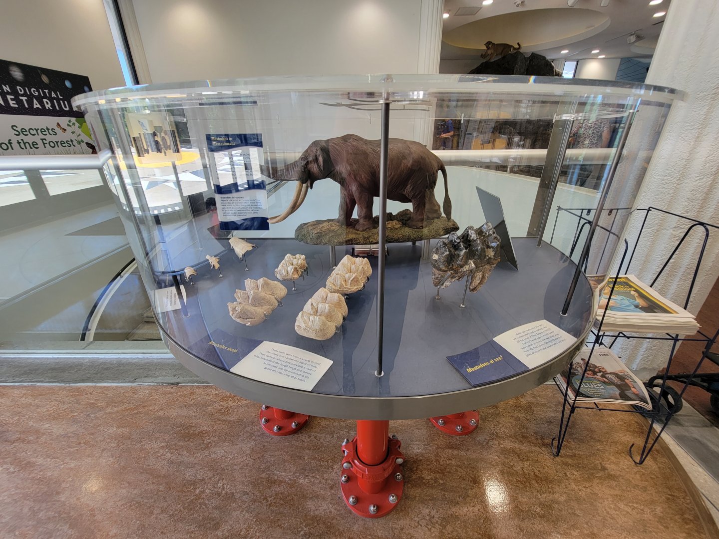 Ecotarium - Mastodon stuff