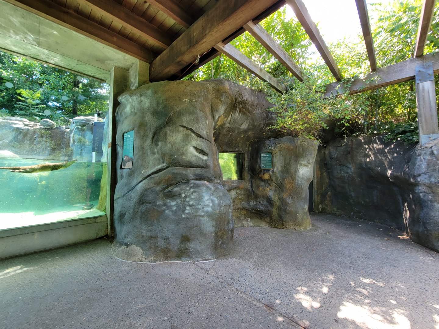 Ecotarium - North American river otter den viewing