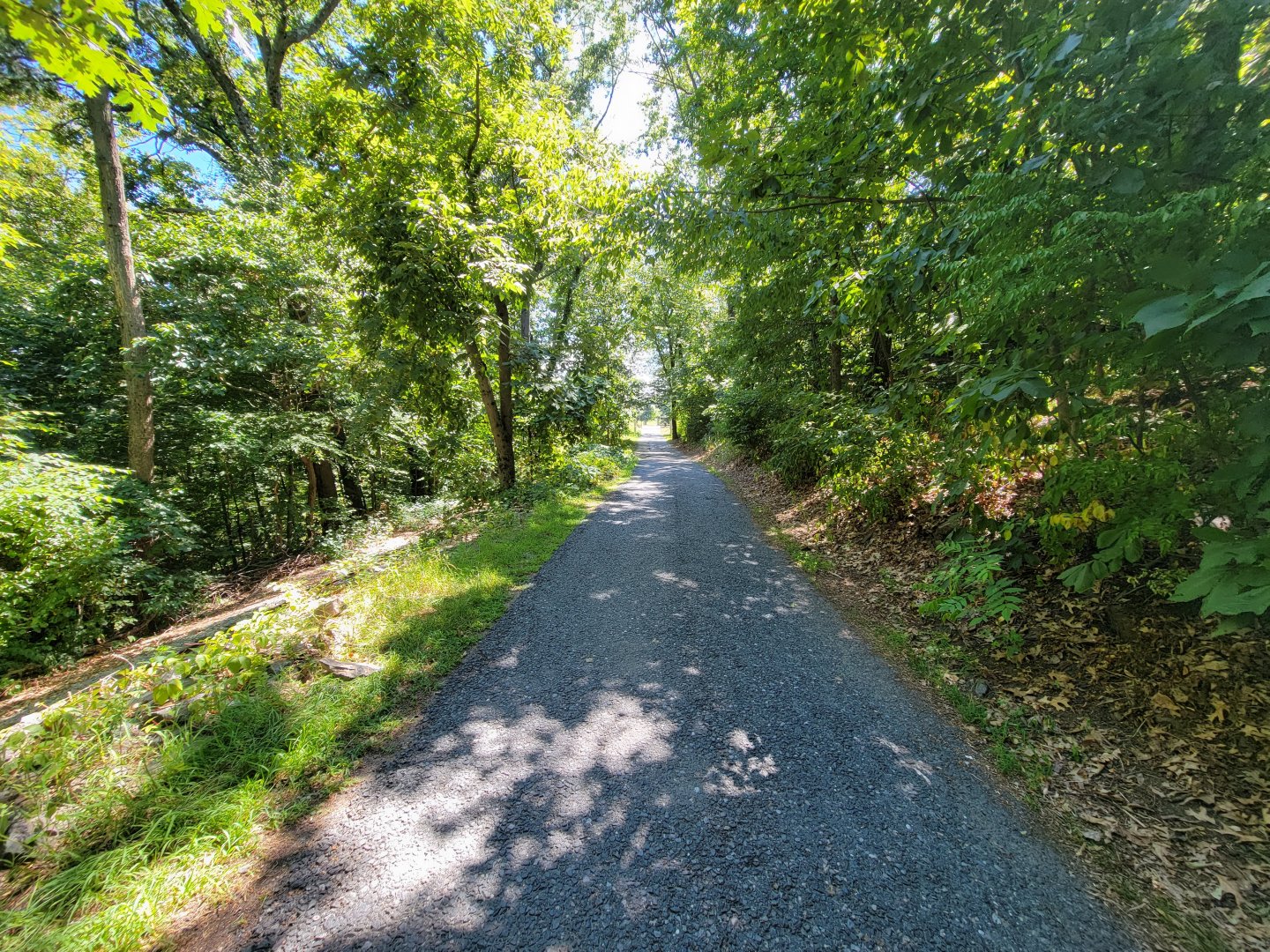 Ecotarium - Path to wild cat station