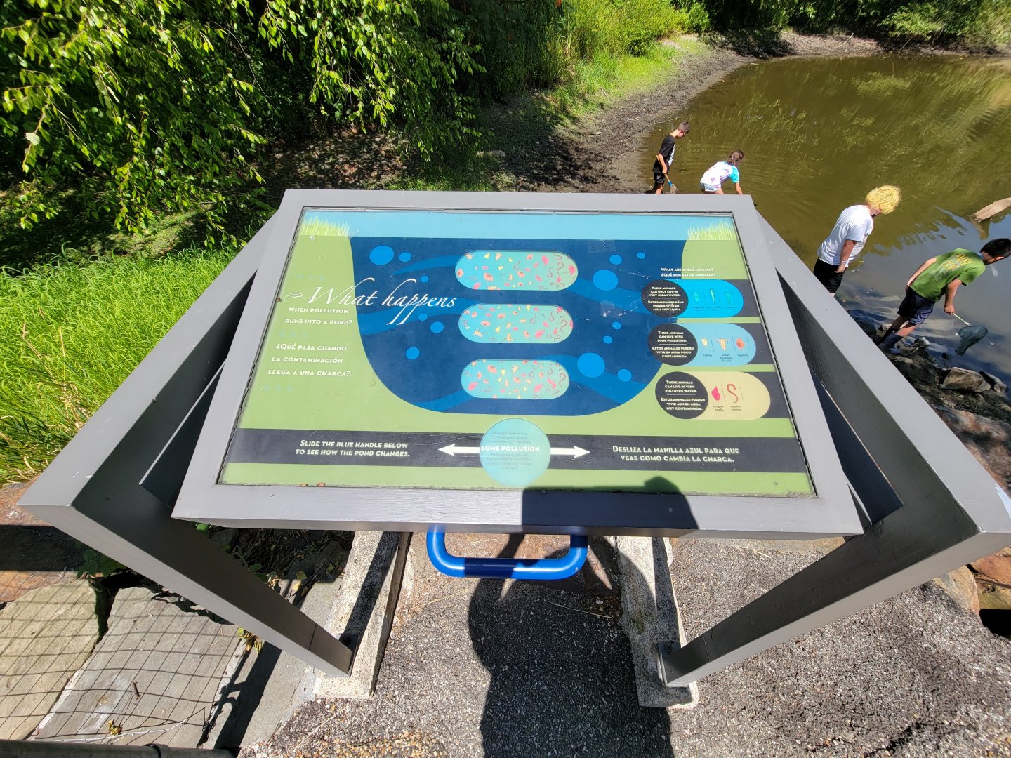 Ecotarium - Pond pollution