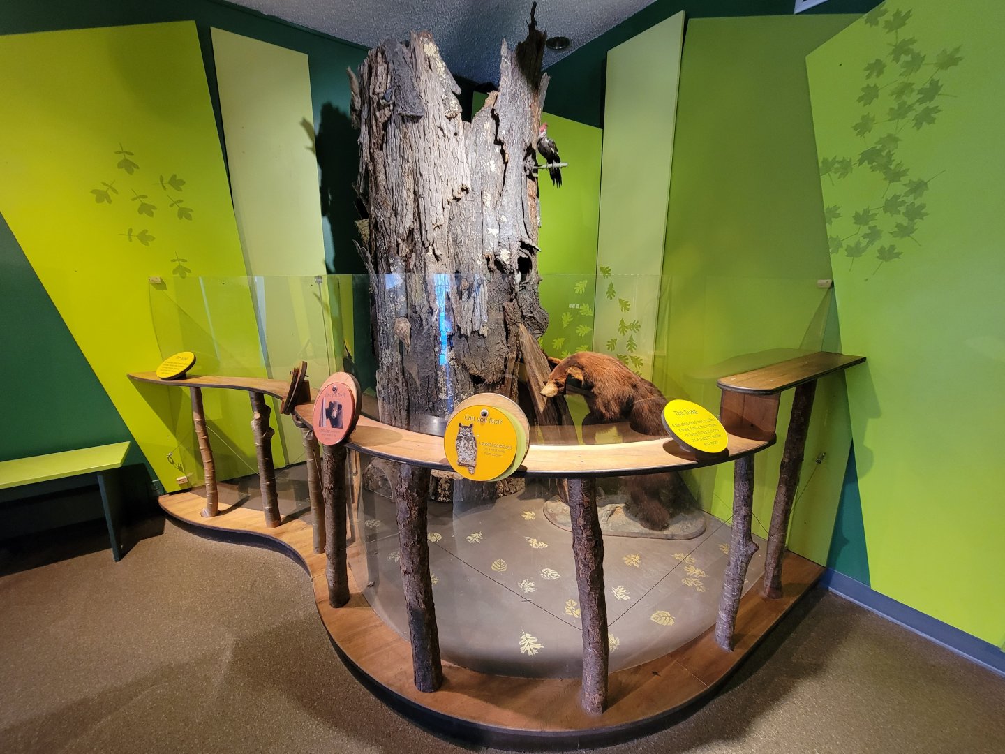 Ecotarium - Tree diorama