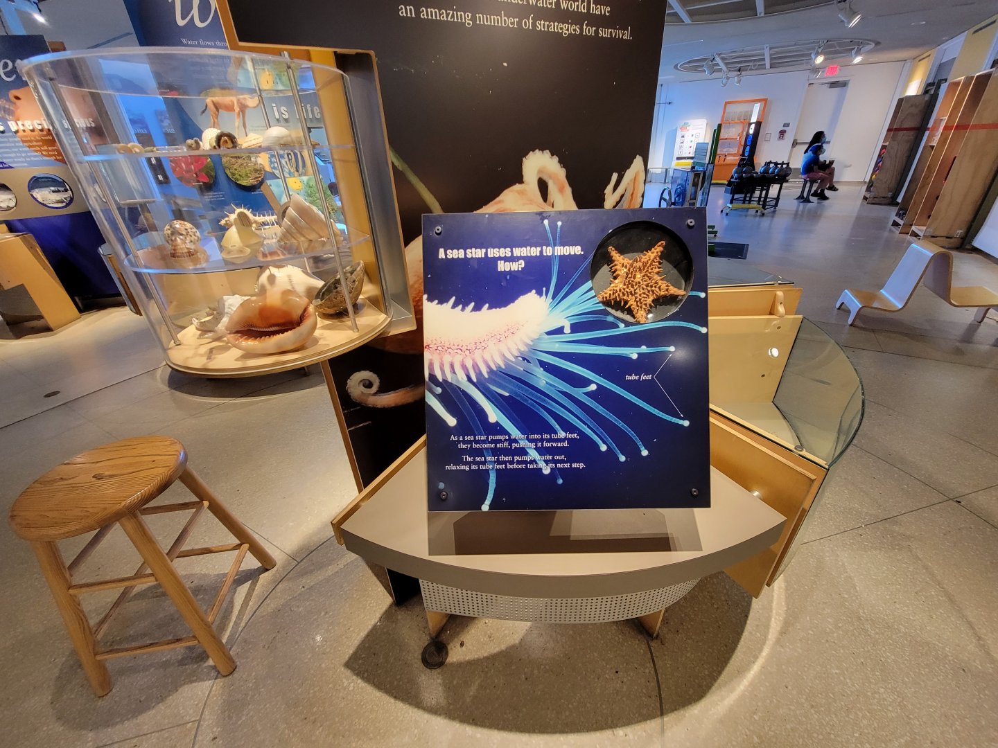 Ecotarium - Water Planet