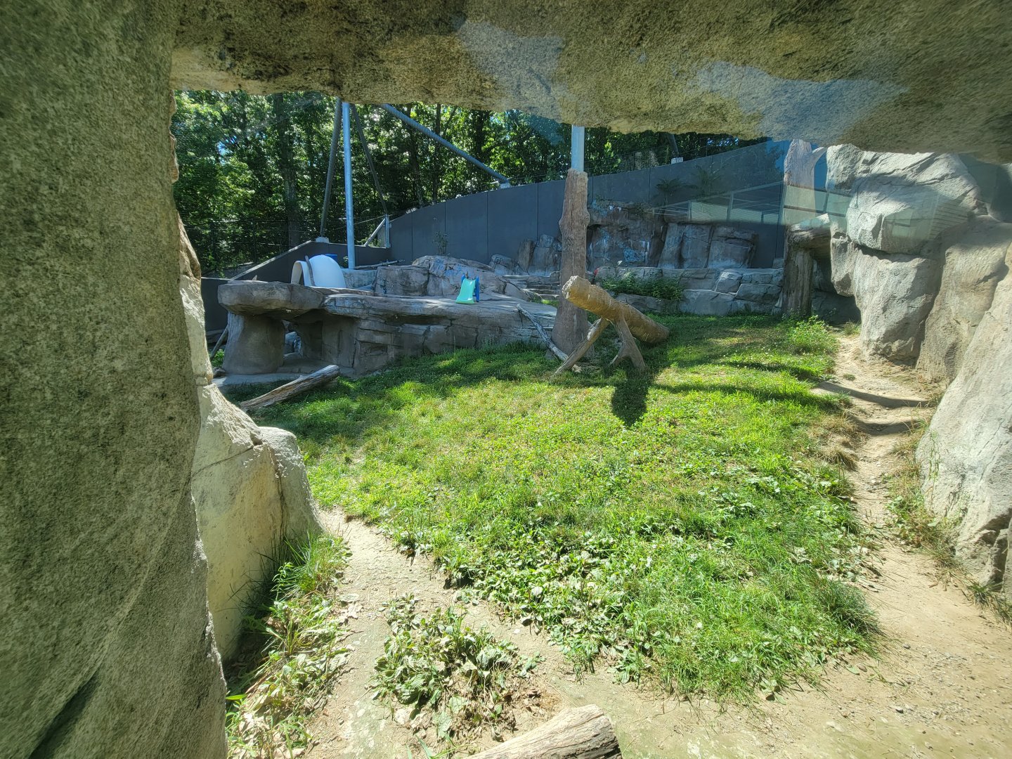 Ecotarium - Wild Cat Station, view of cougar exhibit