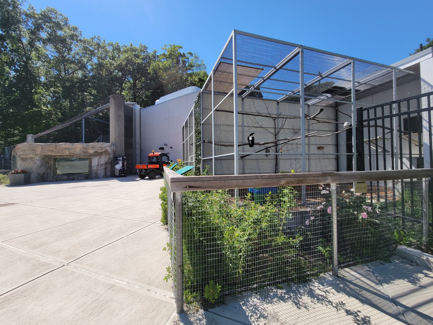 Ecotarium - Wild Cat Station