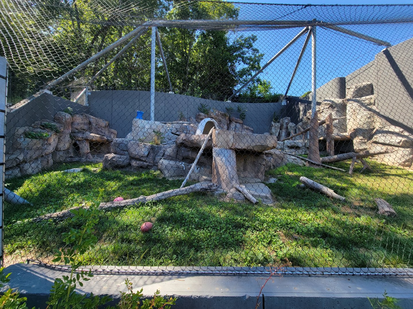 Ecotarium - Wild Cat Station