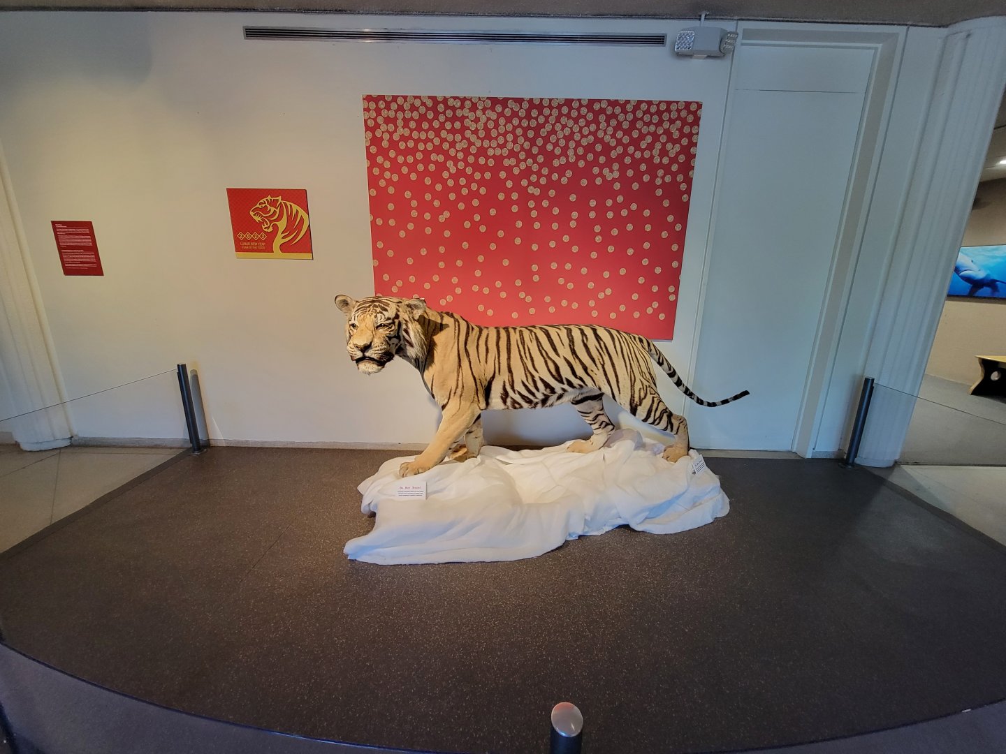 Ecotarium - Year of the Tiger