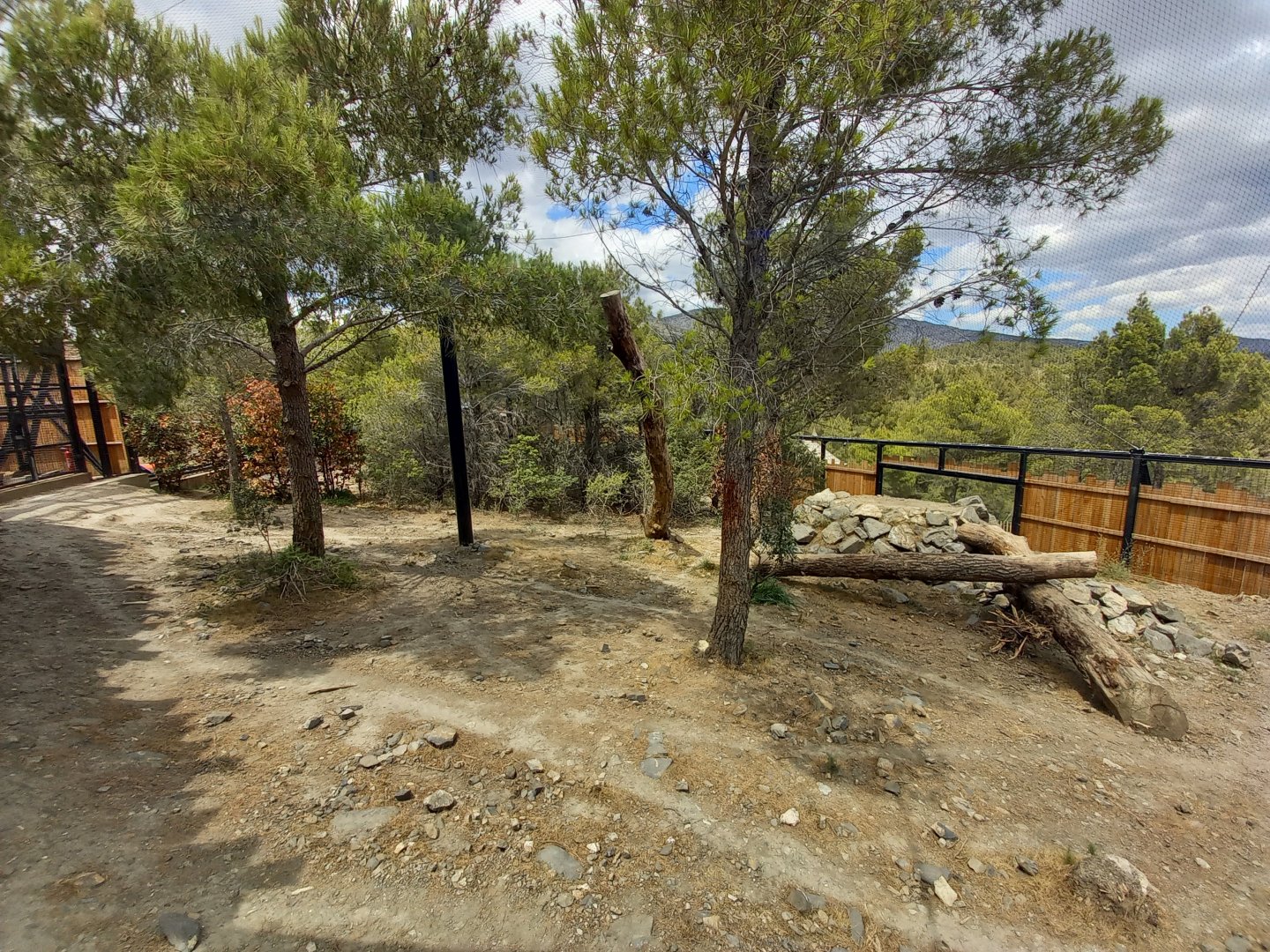 Ecozonia - Amur leopards aviary