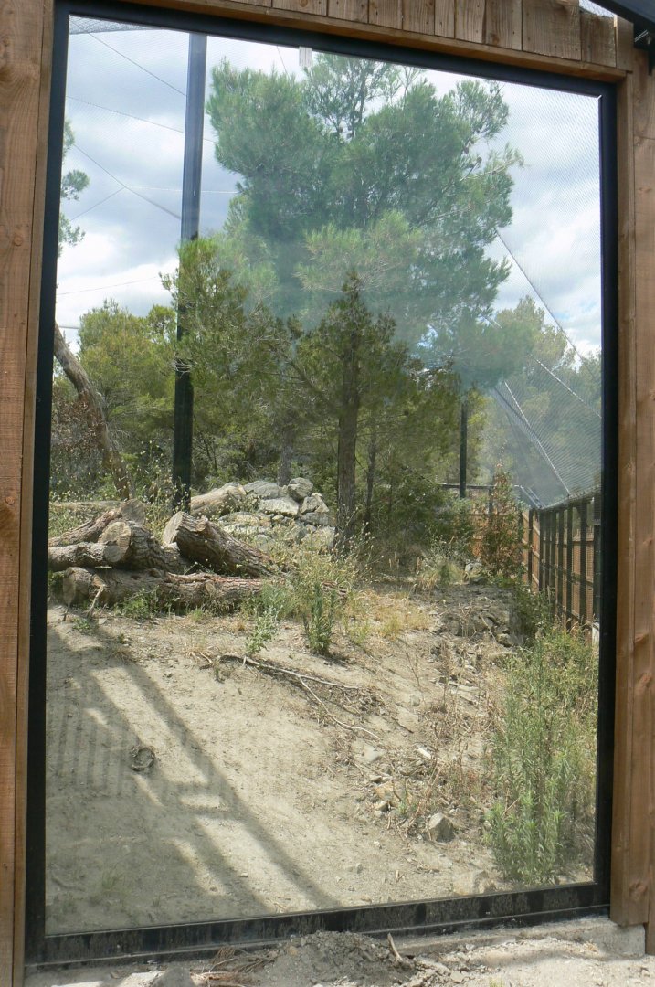 Ecozonia - Amur leopards aviary
