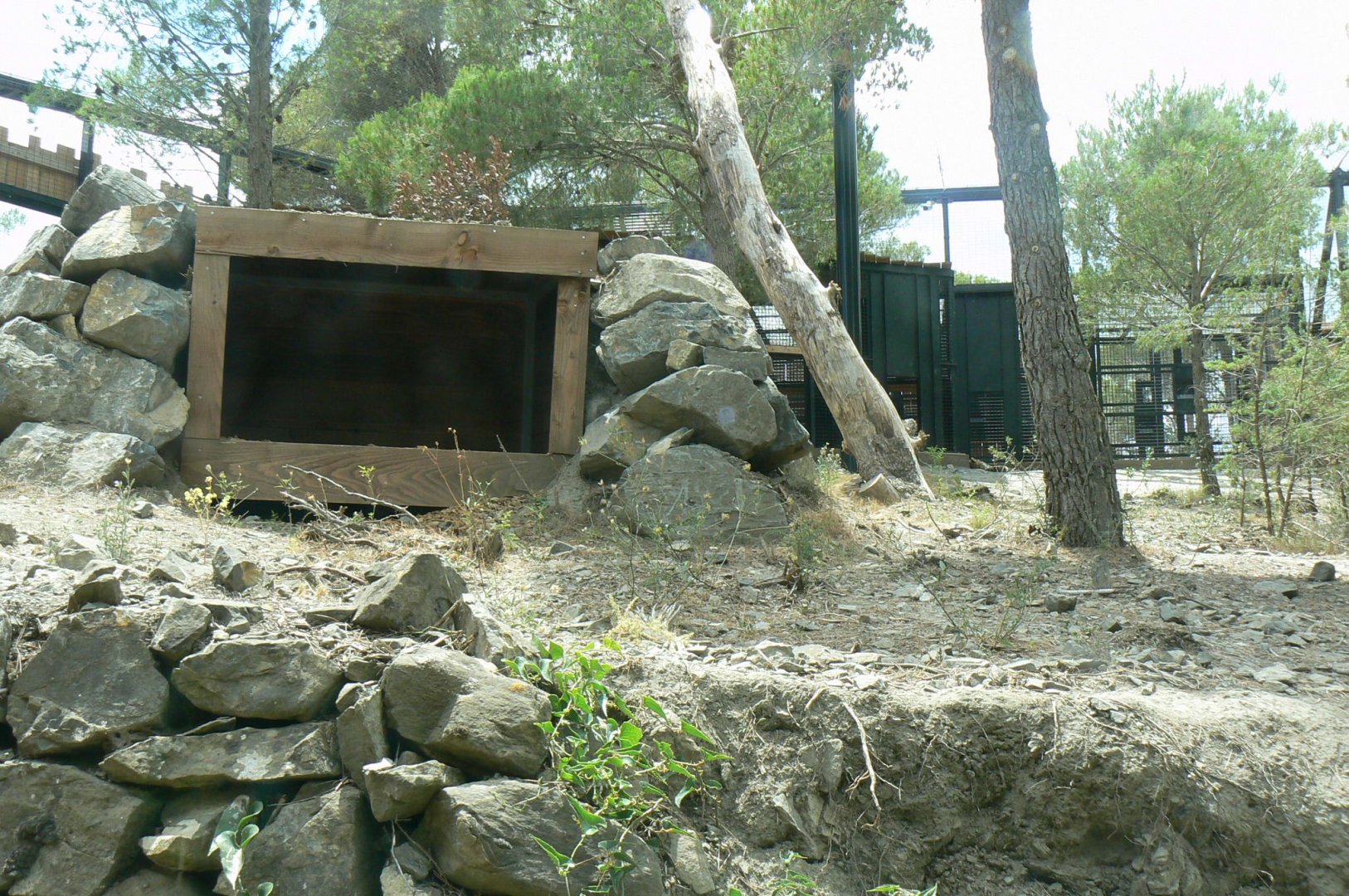 Ecozonia - Amur leopards aviary