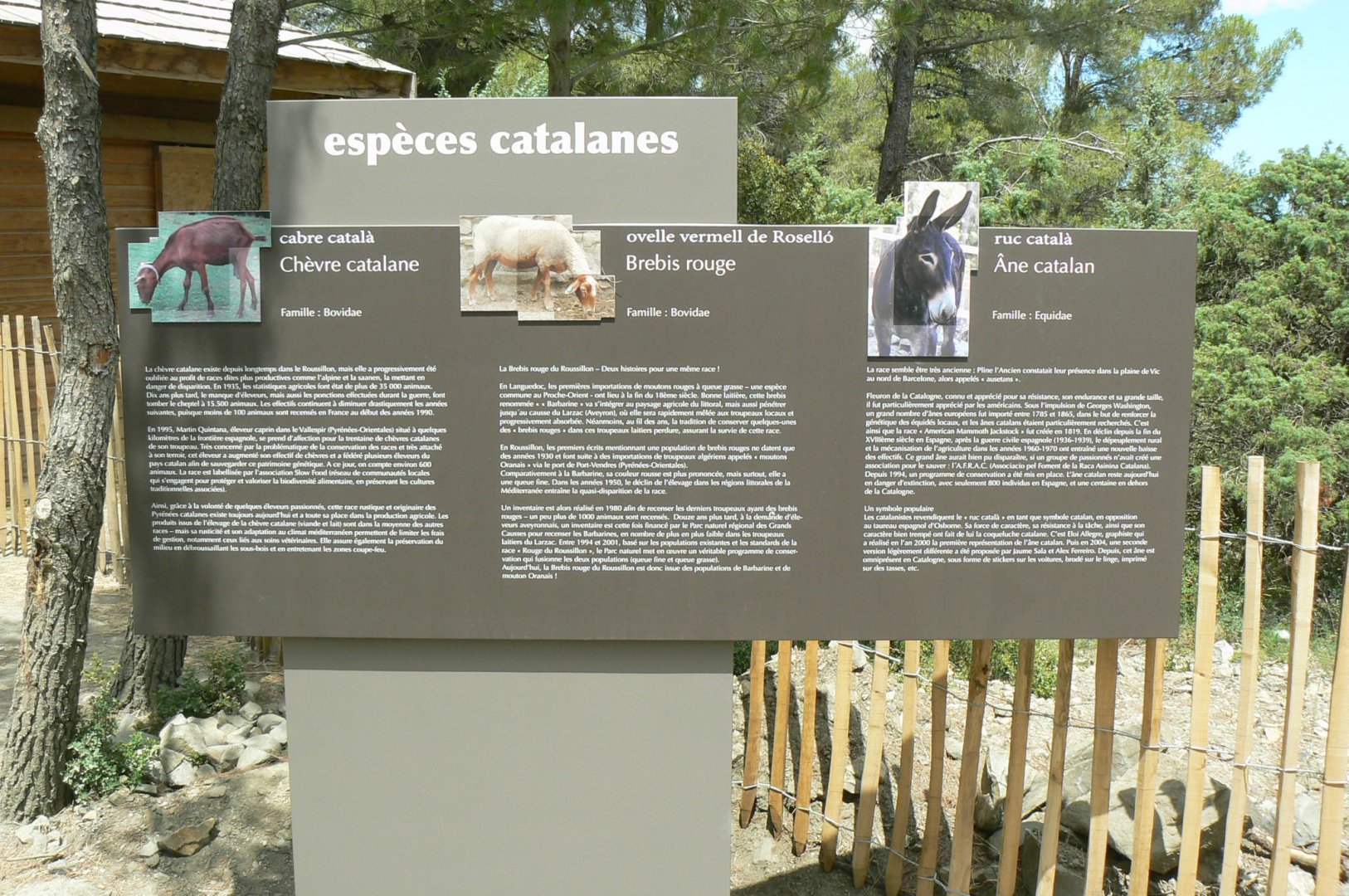 Ecozonia - Catalan domestic species sign